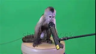monkey with a microphone on a green background. обезьяна с микрофоном на зеленом фоне