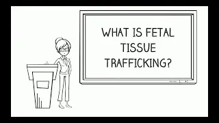 Lessons in Law: Fetal Tissue Trafficking