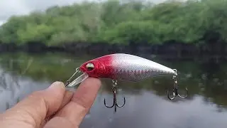 MUARA SUNGAI  KECIL TERNYATA ADA IKAN NYA || CASTING IROLY FREEDOOM × IROLY AEROS 2000