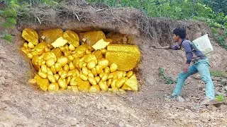 Digging up for Treasure worth million dollar | Scorpion guarding the underground treasure