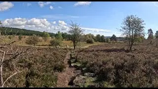 IMMERSIVE HOMESTEADING - An adventure out of time