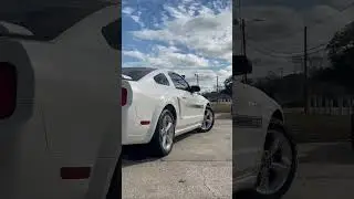 2007 Mustang GT California Special | Southern Motor Company