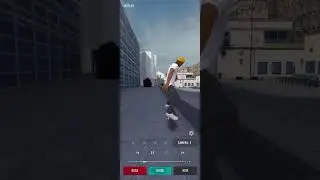 BS Flip Switch FS Crook