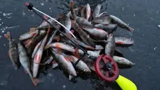 Pirmas ledas 2022-2023 atsidarymas/Ice fishing season