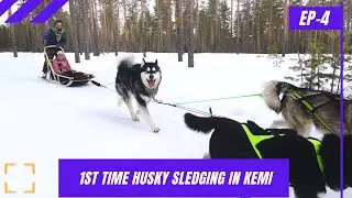 1st time husky sledging in Kemi Finland | Ep 4 | The Rustic Wanderer