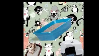 lets get catty:  litter boxes