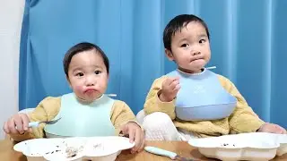 ついに‼️家族4人で食卓を囲む双子【2歳4ヶ月】
