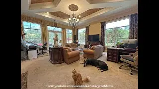Great Danes & Cat Watch DIY Drapery Repurpose Art Studio Project Progress