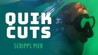 Scripps pier