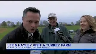 Live With Lee & Hayley: Lee & Hayley Visit A Turkey Farm!