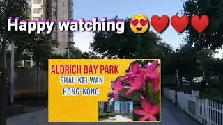 Aldrich Bay Park Shau Kei Wan Hong Kong /EmzBxbVlogs