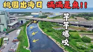 顛覆想像！從出海口釣到市區，飛釣竿竿咬！大爆咬！Gopro裸機防水破功，荷包在滴血！新手教學3分鐘爆釣大鯉！｜Maxcatch｜台灣愛釣魚釣具店｜影子製竿師｜#釣り #flyfishing #tips