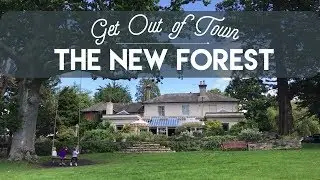 Get Out of Town | The New Forest