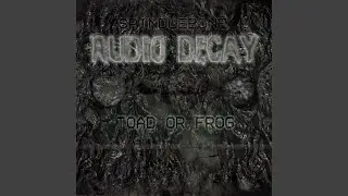 Toad Or Frog