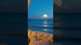 Waves Hitting the Shore | Pure Sea ASMR for Sleep