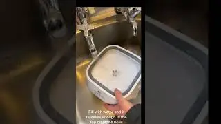 The Magic Dog Never-Ever Spill Bowl