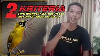 Tips Cara Memilih Bahan Pleci Untuk Di Jadikan Gaco Pleci Juara - Markas Tjm