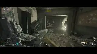How to deal with water rats - DMZ