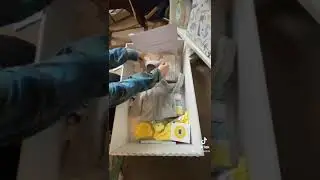 ОБЗОР: Каково это &mdash; получить Baby Box от шотландского правительства