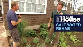 Salt Water Rehab | This Old House