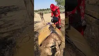 حتى في هذا العصر الحديث، لا تزال نساء الصحراء ملزمات بحمل الماء، اتباعاً لعاداتهن التقليدية