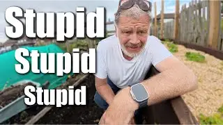 Food Poisoning and a Total Cock Up