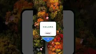 Halara New Discount Code - June 2025 | Save money with #PRMQD.io