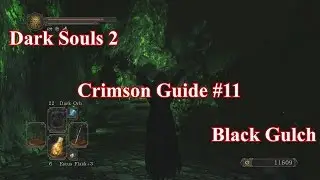 Dark Souls 2 SotFS - Crimson Guide #11: Black Gulch