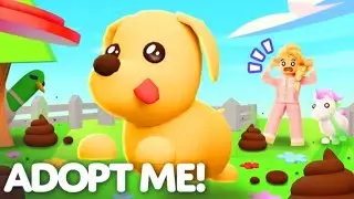 Swish & Swirl do color-coded pet trades in Adopt me!