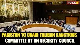Pakistan to Chair UN Taliban Sanctions Panel in 2025 | Expert Decodes Global Shockwaves