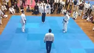 GKR World Cup 2013 Mens team Kumite final