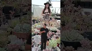 Unos pasos sencillitos 😅💟🌵 #suculentas #plantas #memes  #eccoroots