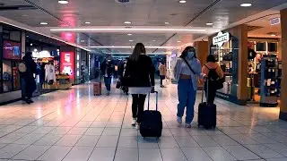 Sydney (SYD) Airport Domestic Terminal T2 Walk-Through / 4K
