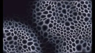Modeling volcanic rocks in Grasshopper