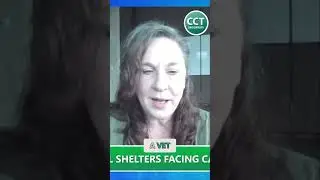 Pet Owners Surrender Pets: Legal Help & Avoiding Eviction Crisis! #shorts