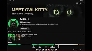 OwlKitty