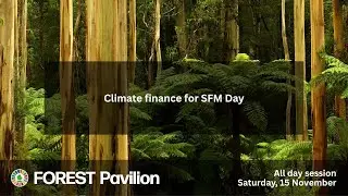 Forest Pavilion at COP30 &ndash; 15 Nov &ndash; Climate finance for sustainable forest management (SFM)
