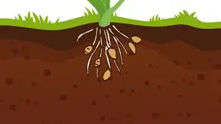Arkon Herbicide Training Module