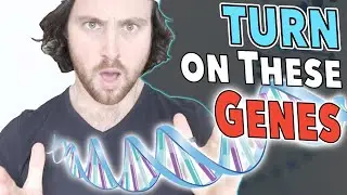 These LONGEVITY Genes PROTECT Your BRAIN Stem Cells (New Research)