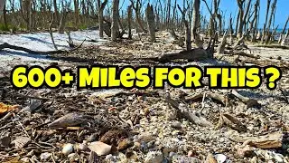 EVER DRIVE 600 Miles in 1 DAY & Sleep in your car to GO SHELLING?