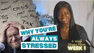 The Stress Reset: A 4-Week Stress Management Plan I Understanding Stress & Your Nervous System