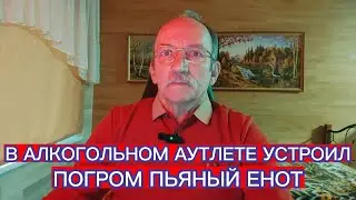 В АЛКОГОЛЬНОМ АУТЛЕТЕ УСТРОИЛ ПОГРОМ ПЬЯНЫЙ ЕНОТ