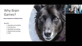 Old Dog, New Tricks! Brain Games through Enrichment and Training