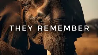 30 Mind-Blowing Elephant Facts That Will Leave You in Awe