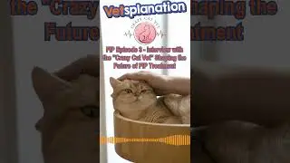 How The 