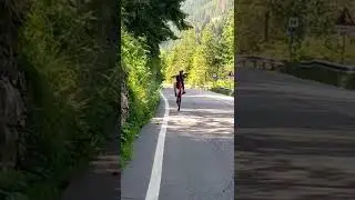 #manual #trik #impennata #strada #bosco
