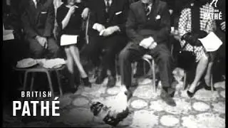 Feather In Your Hat (1963)