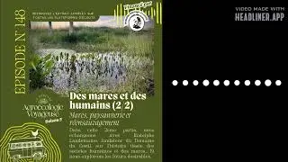 #148 Des Mares et des Humains 🦉 Mares, paysannerie et réensauvagement | Agroécologie Voyageuse