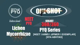 Lichen-Mycorrhiza one shot II NEET PYQ series II NEET II AIIMS II JIPMER II NTA ABHYAS II NCERT Exe