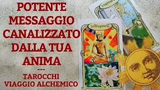 ✨ POTENTE MESSAGGIO CANALIZZATO PER TE, LA TUA ANIMA PARLA❤️ 😅😅 #tarocchi #tarot #amore #love #vlog